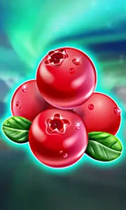Winterberries